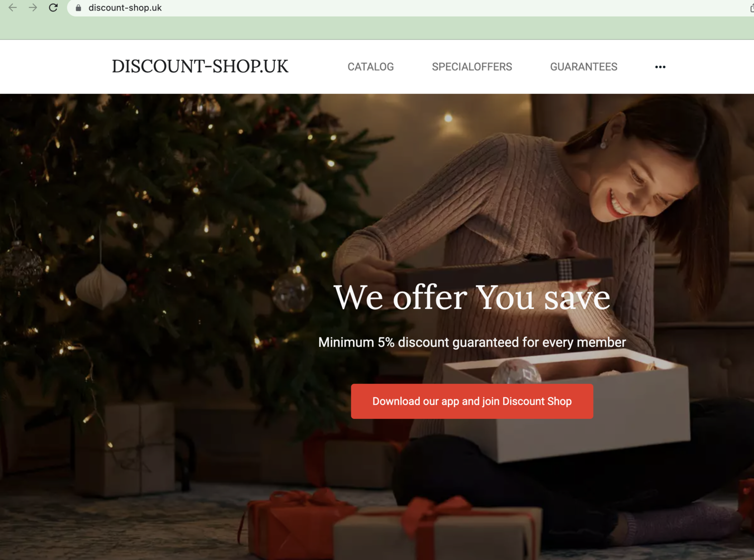 custom website